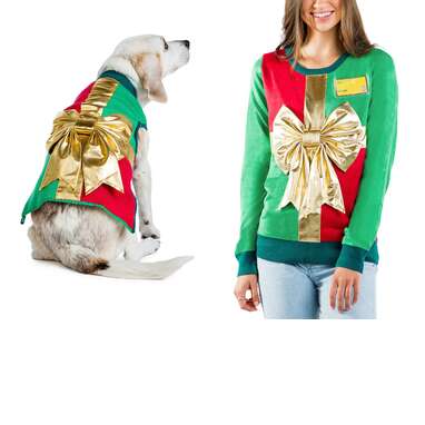 dog and owner christmas outfits